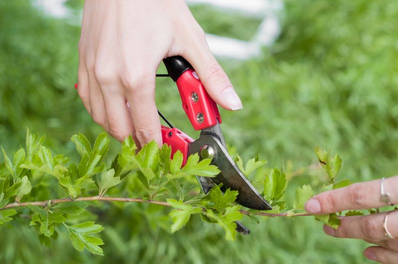 Pruning Tools for Shrub Trimming