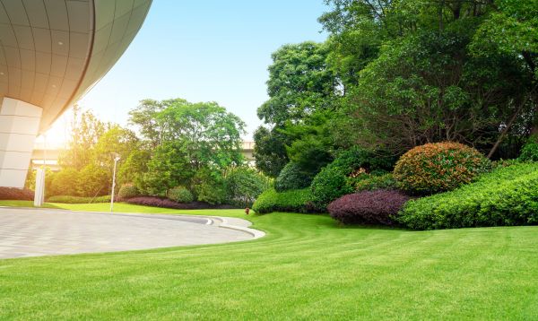 Commercial Shrub Trimming in Janesville