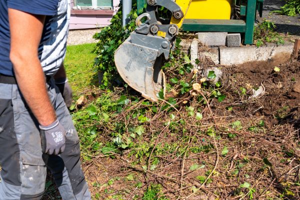 Hedge Removal Service in Janesville