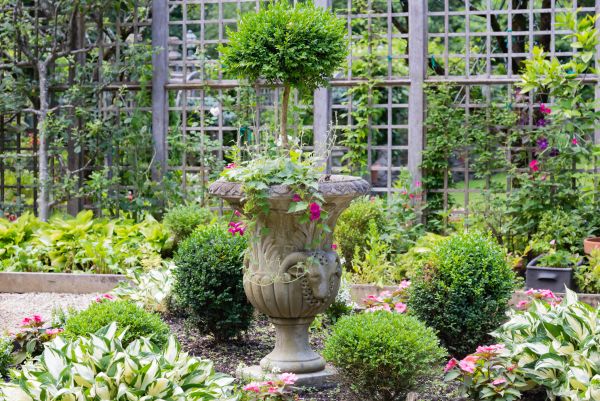 Topiary Pruning in Janesville