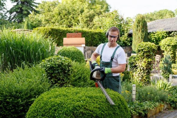 Shrubs Trimming in Janesville