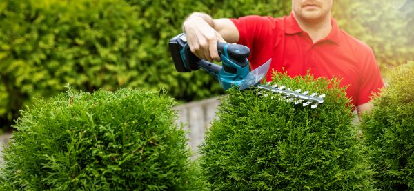 Hedge Shaping Service in Janesville